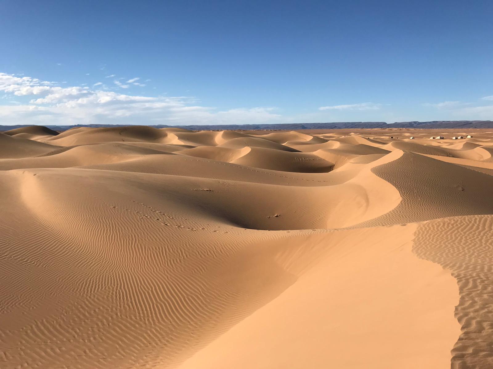 excursion desert depuis zagora